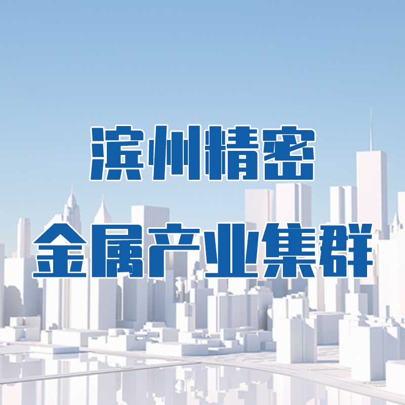 濱州精密金屬產(chǎn)業(yè)集群
